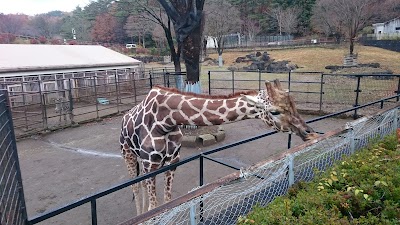 盛岡動物園公園