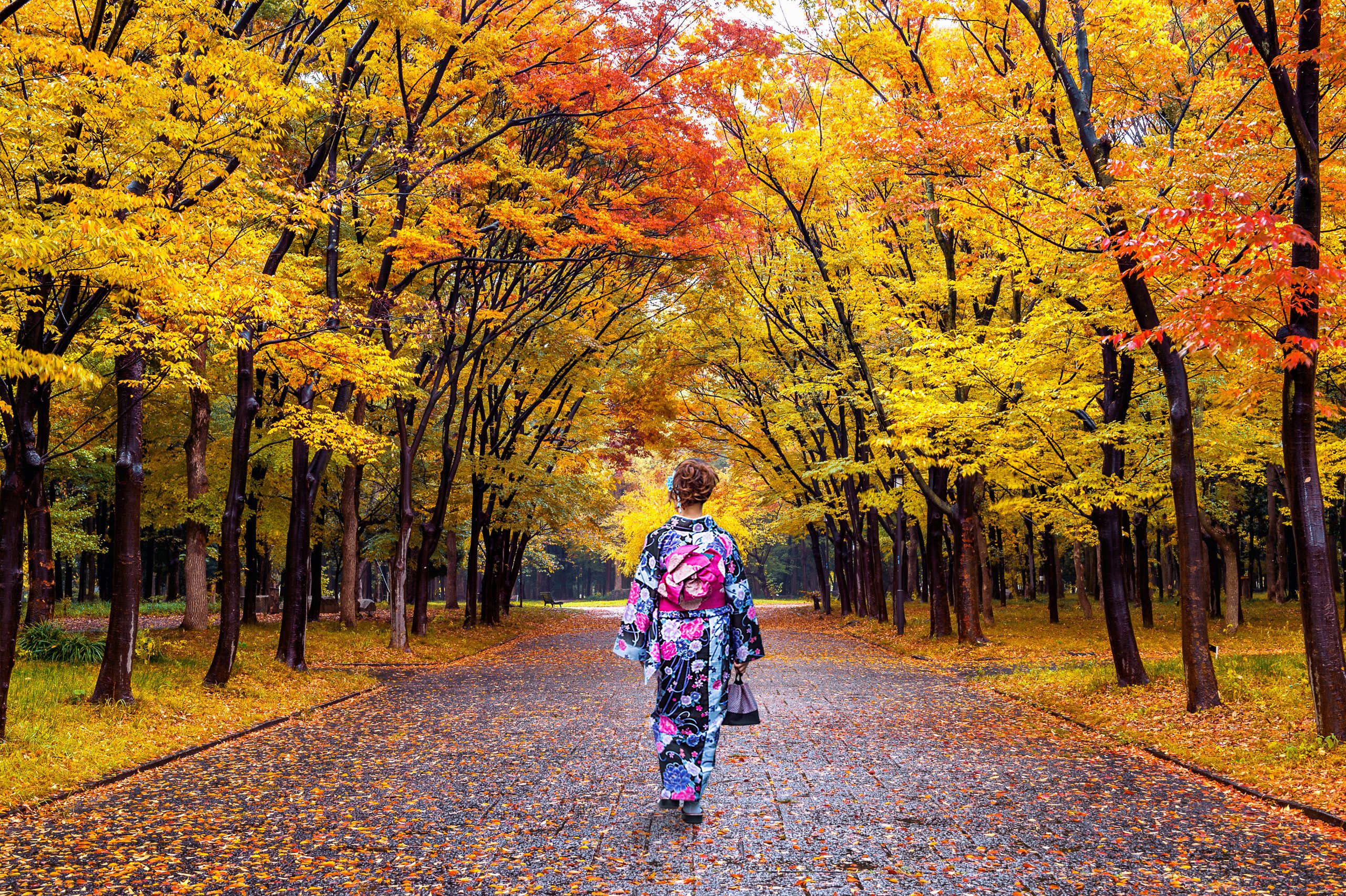 大阪的秋天